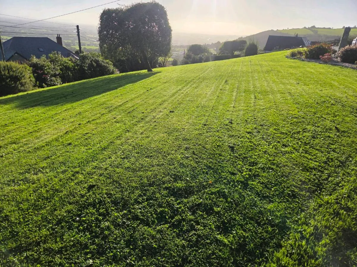 Robrock lawnmower for sale - Image 2