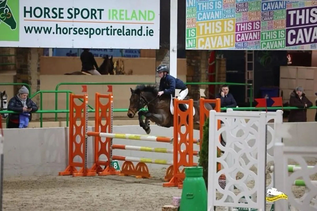 13.2 Show jumping pony - Image 1