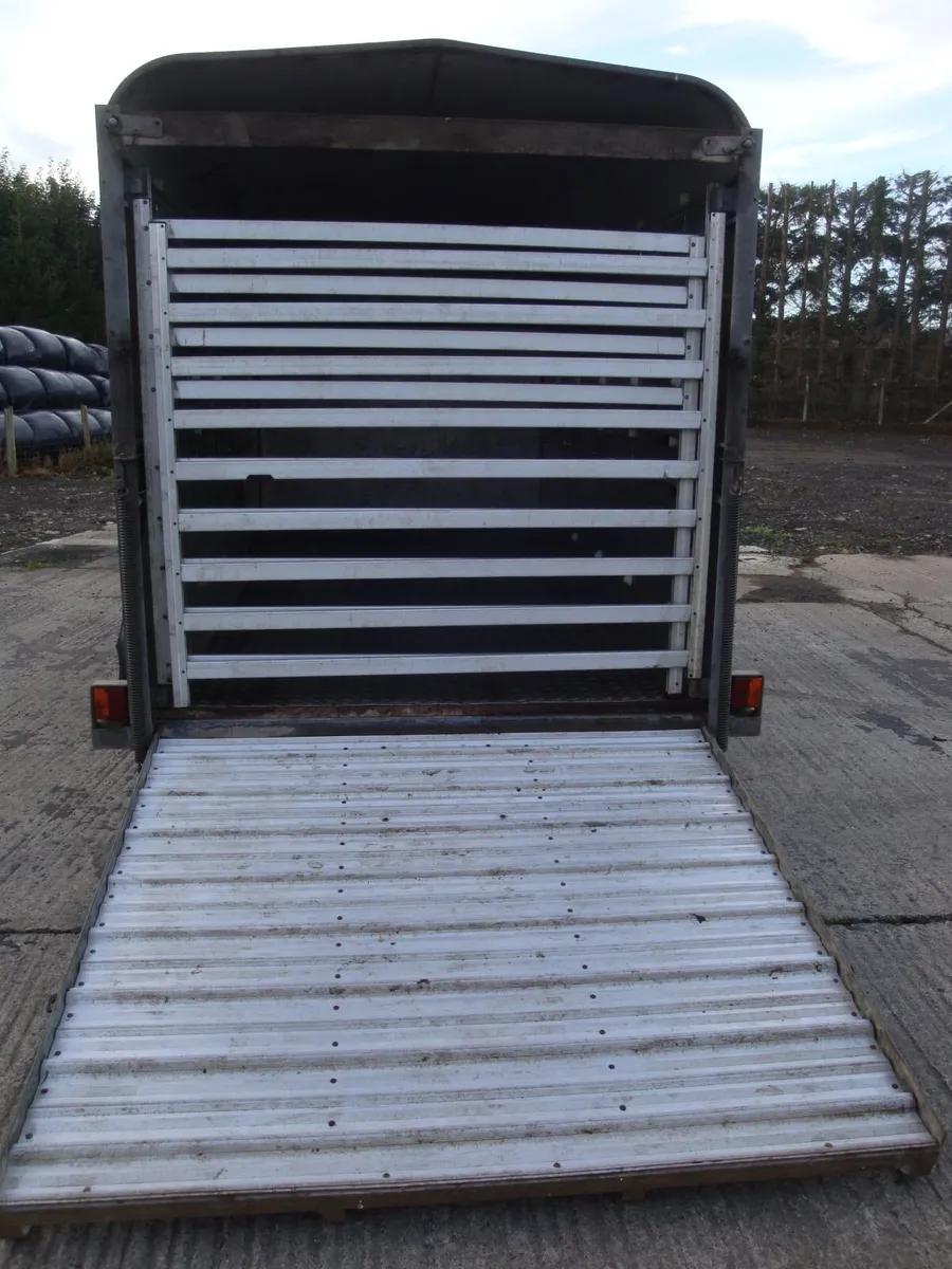 Ifor Williams Super 12 * 6,  Cattle Trailer. - Image 4