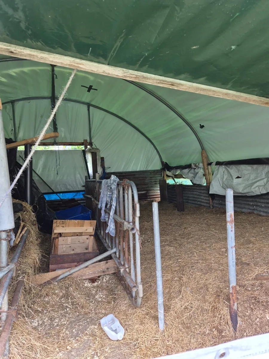 Large 22ft x 24ft Polytunnel / Agricultural Tunnel - Image 2