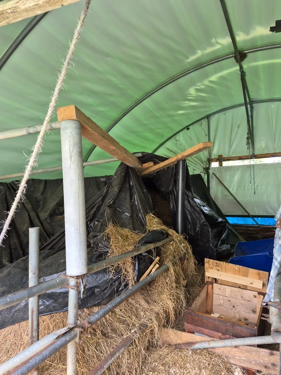 Large 22ft x 24ft Polytunnel / Agricultural Tunnel - Image 3