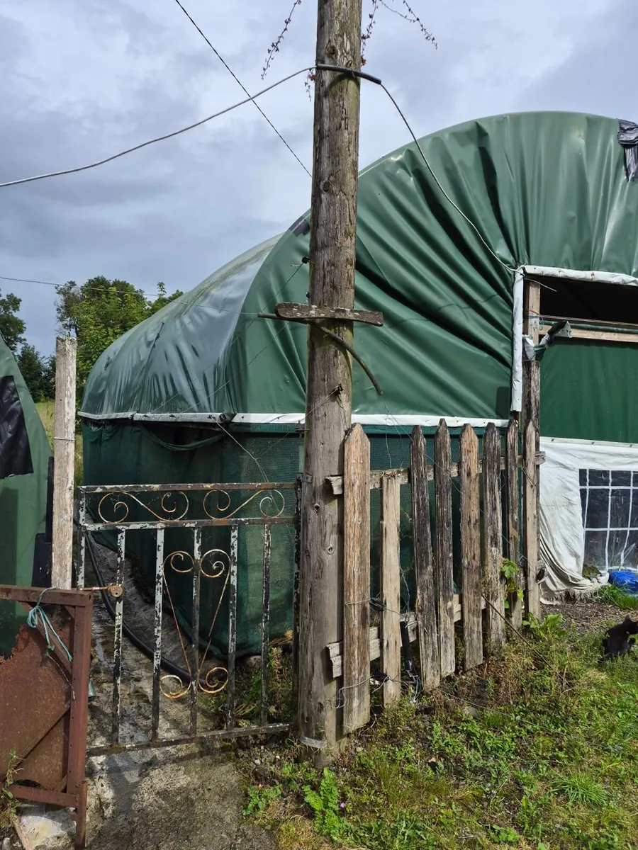 Large 22ft x 24ft Polytunnel / Agricultural Tunnel - Image 4