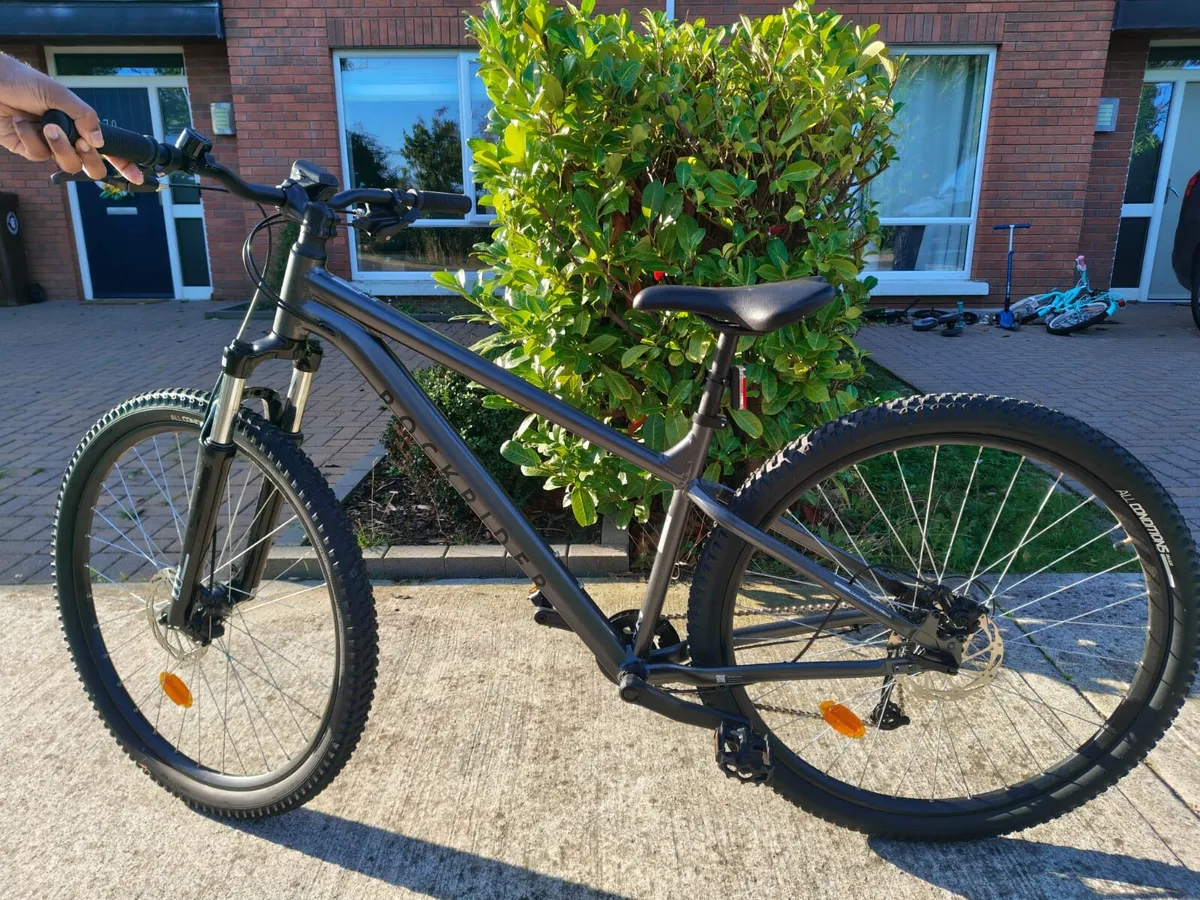 Mountain Bike - Image 1