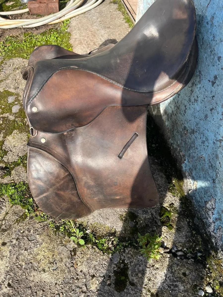 Saddle - Image 2