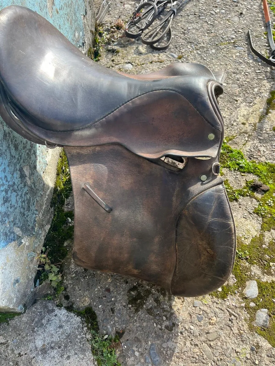 Saddle - Image 3