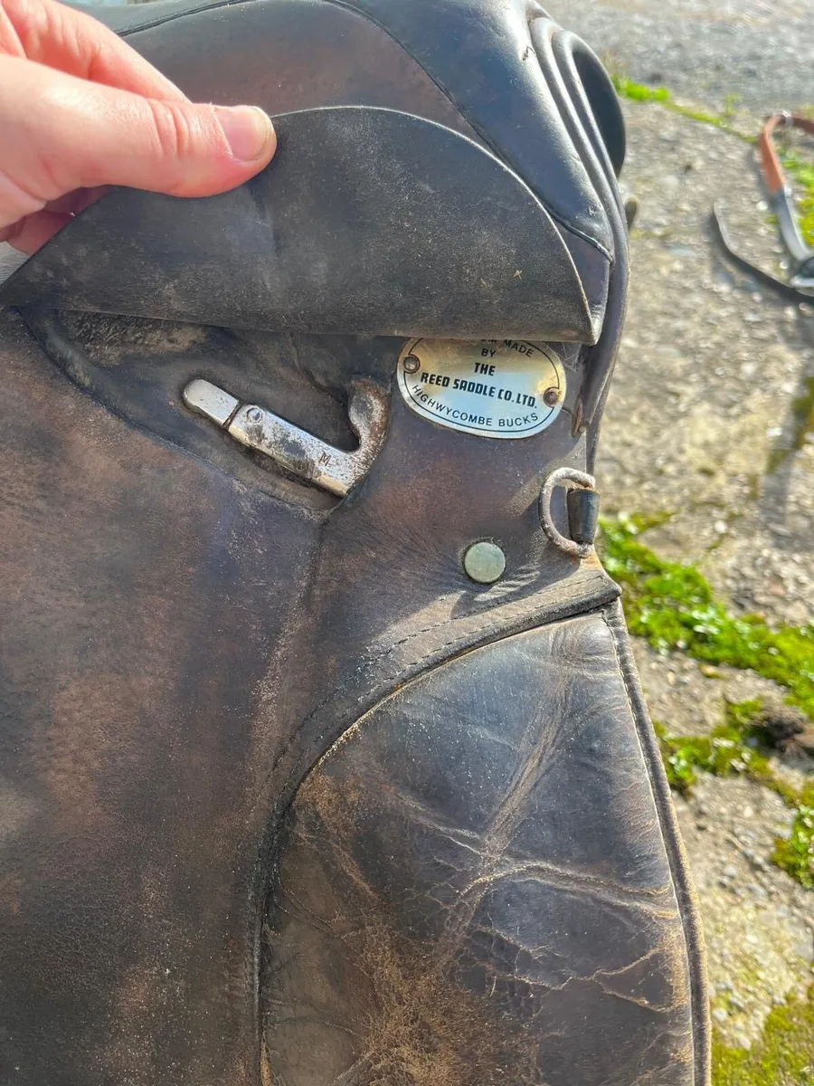 Saddle - Image 4