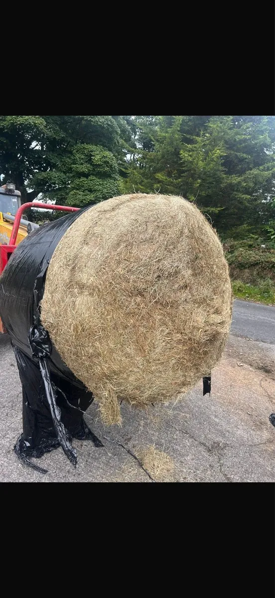 Round bales - Image 2