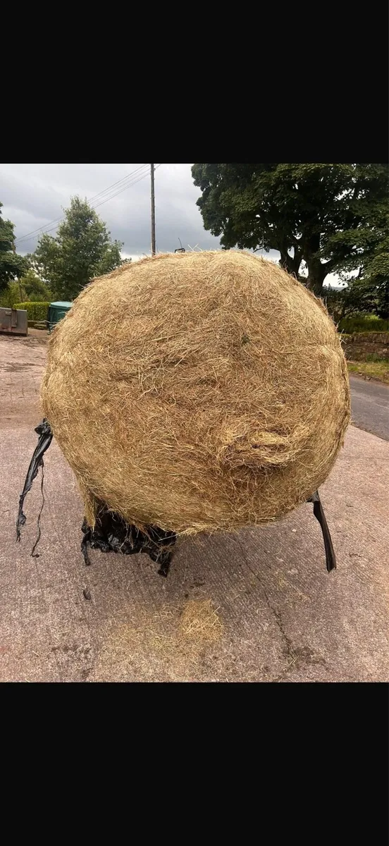 Round bales - Image 3