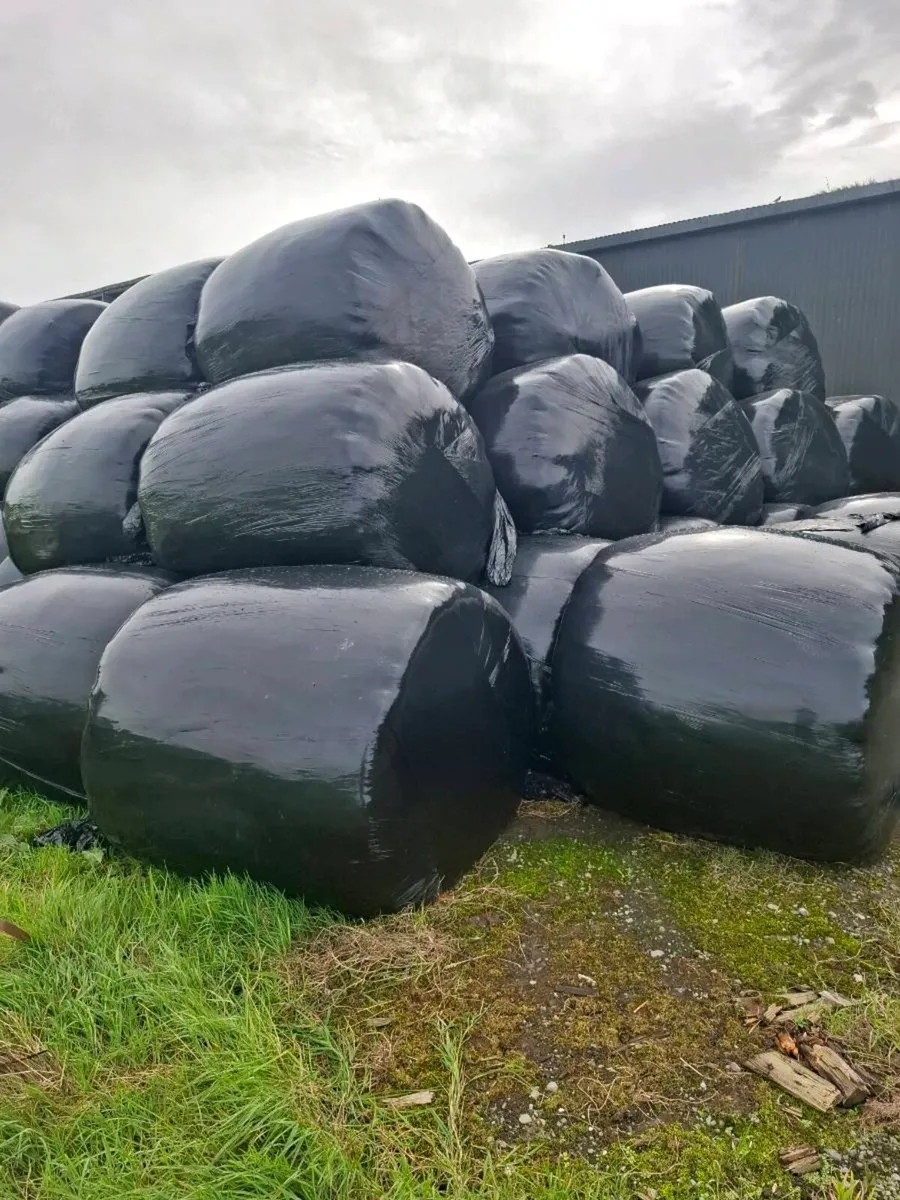 Silage bales - Image 2