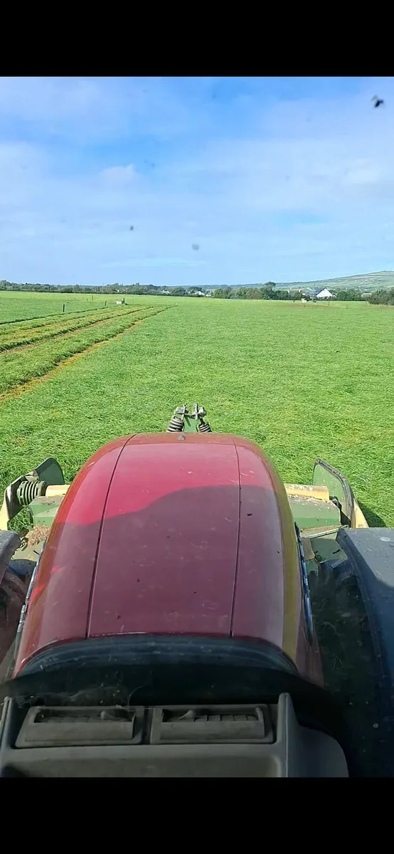Silage bales - Image 3