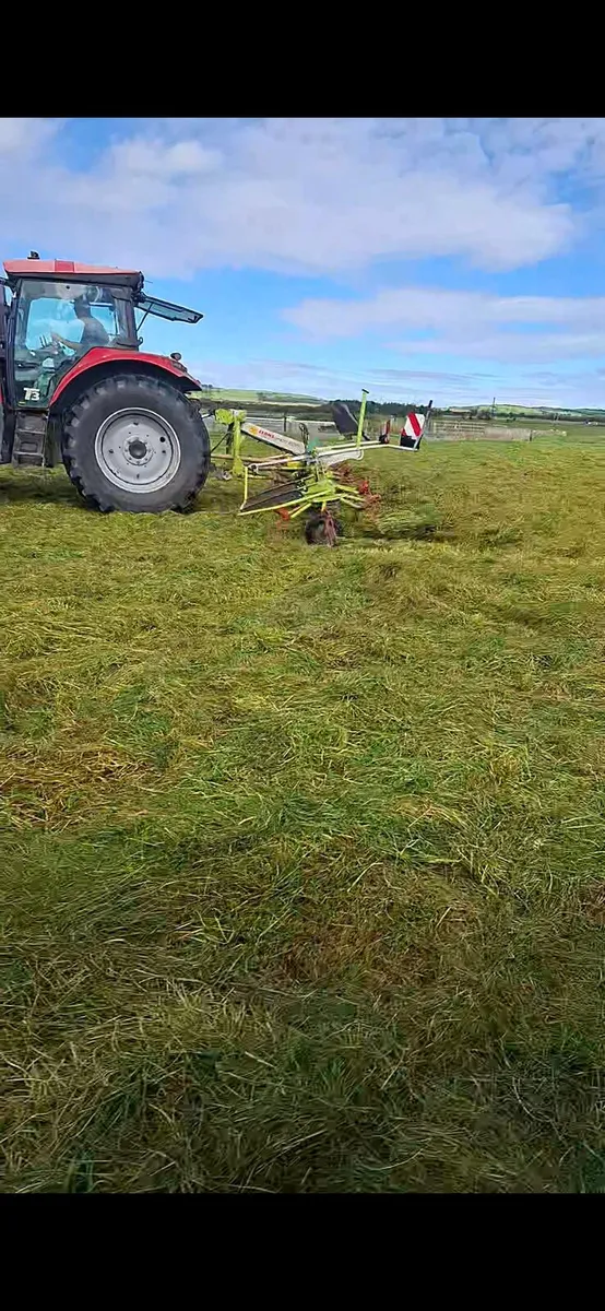 Silage bales - Image 4