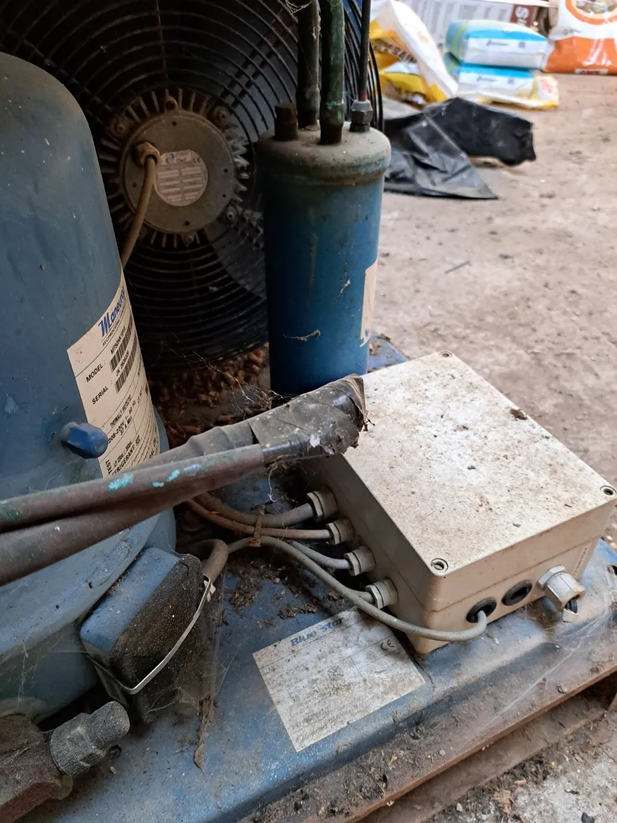 Milk cooler compressor - Image 2
