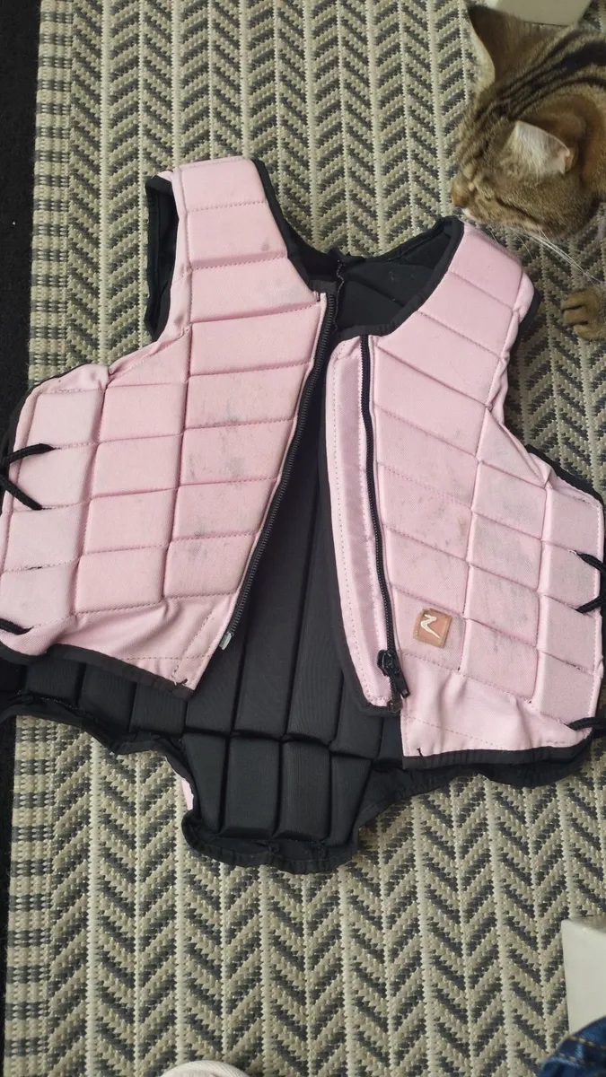 Body protector - Image 2