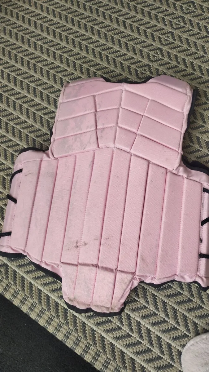 Body protector - Image 4
