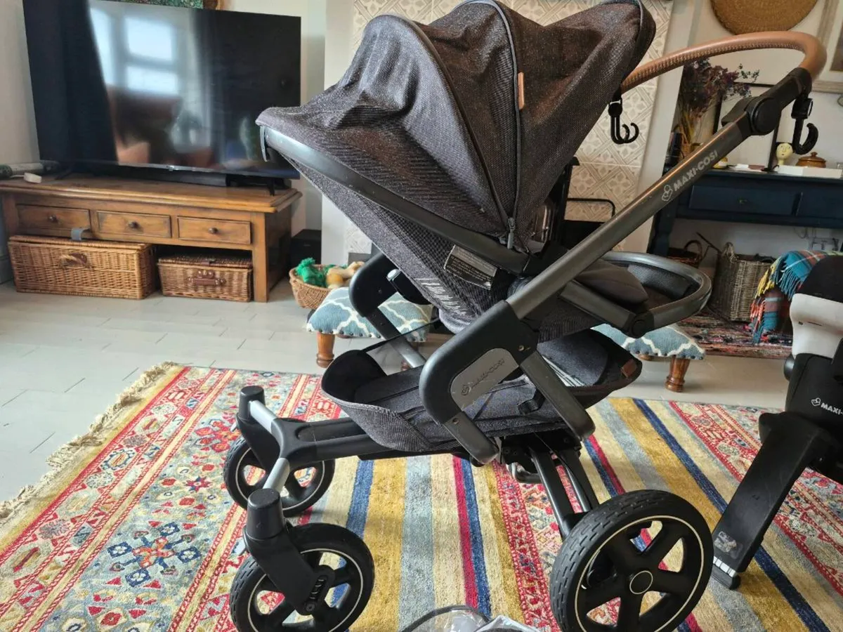 Pushchair + carseat/ carrier - Image 1