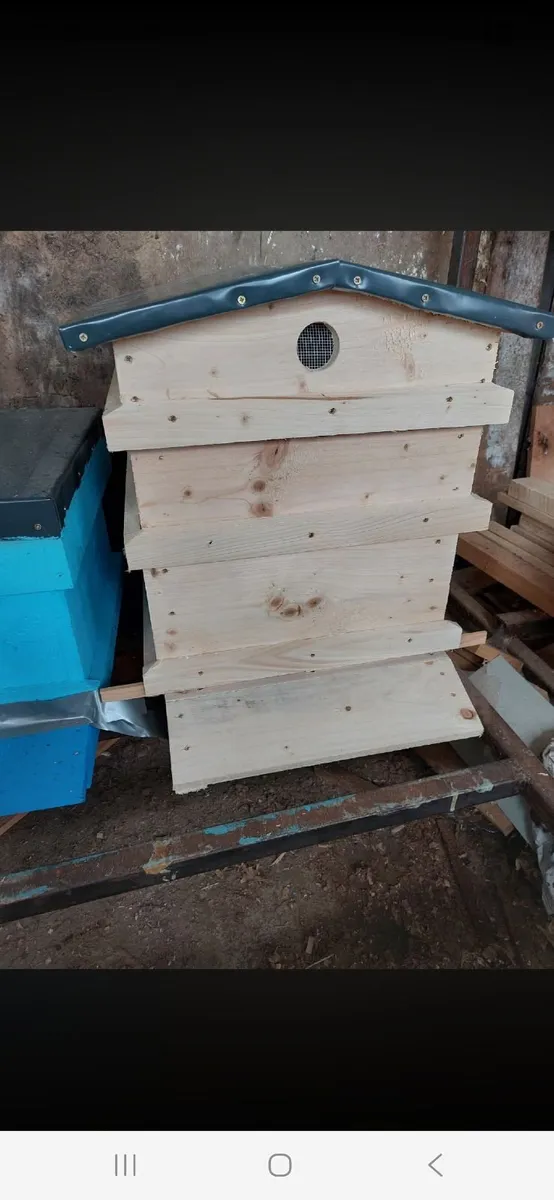 Bee hive