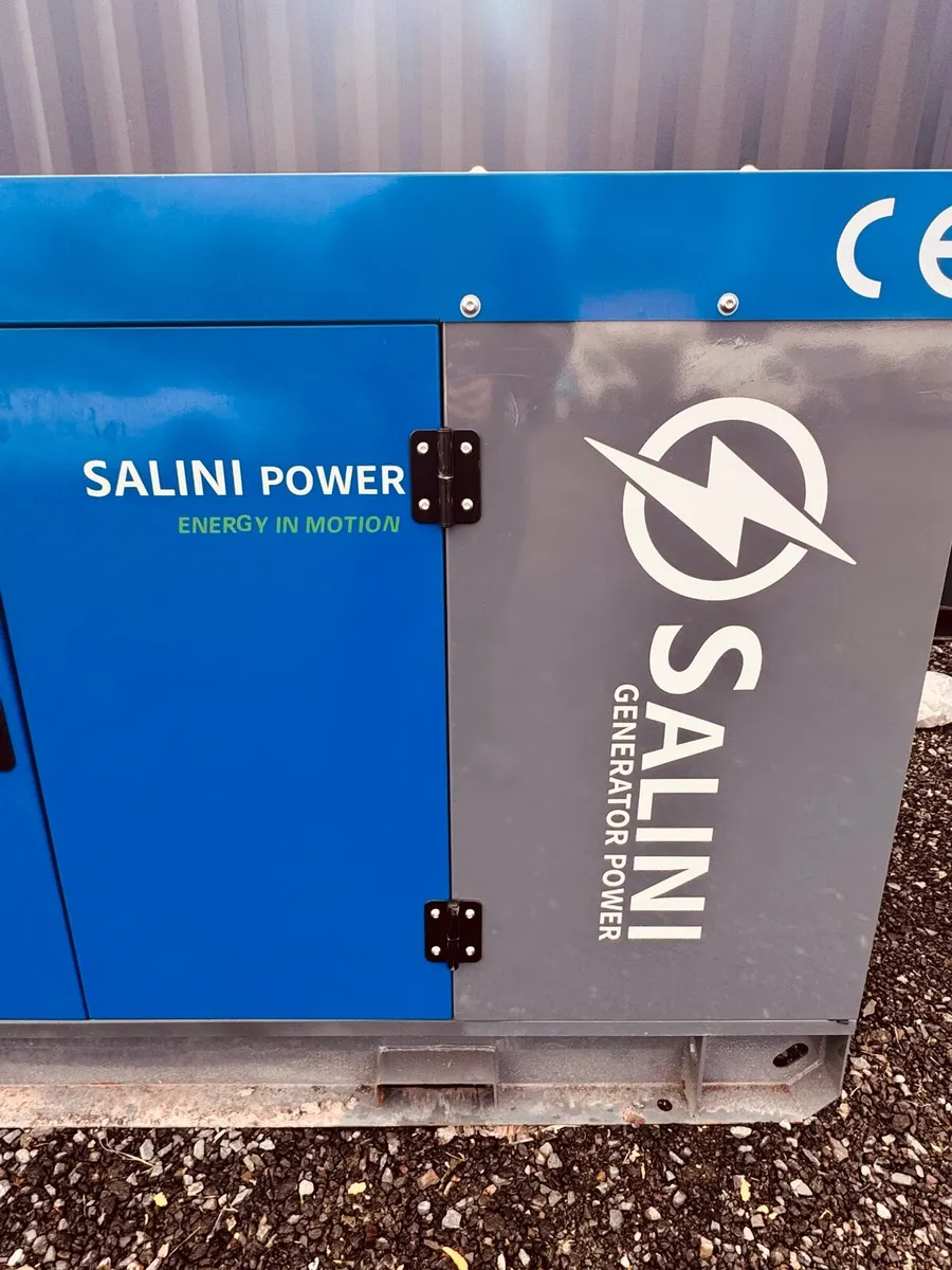 41.3kva Salini VG-R30 Generator - Image 4