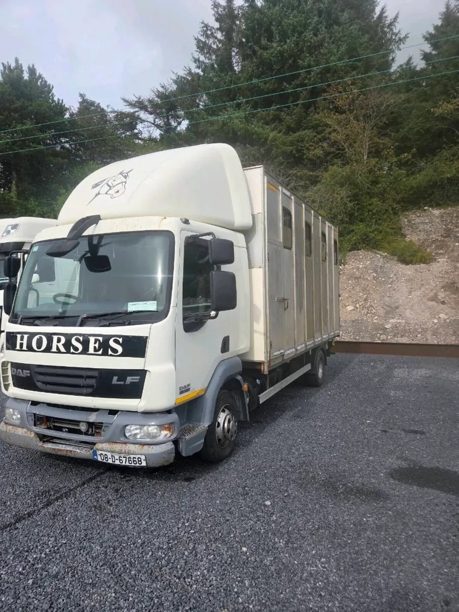 2008 Daf lf horse lorry