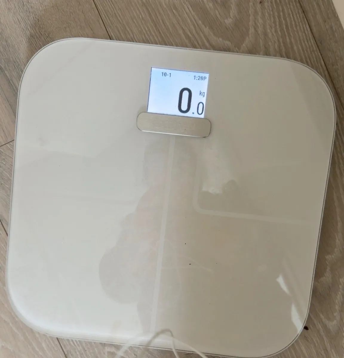Body weight scale