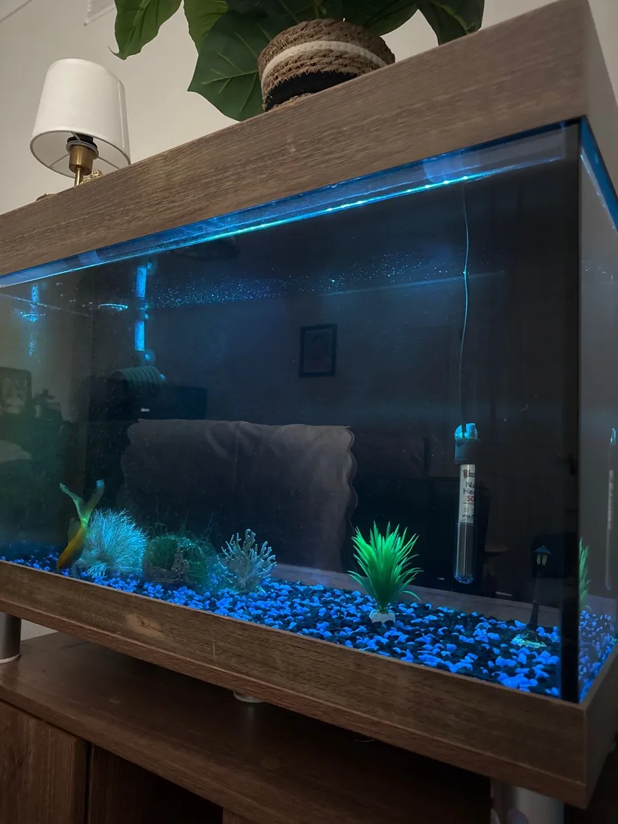 Aquarium - Image 3