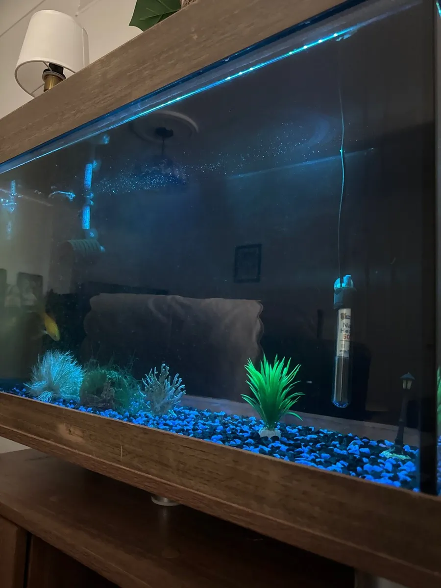 Aquarium - Image 4