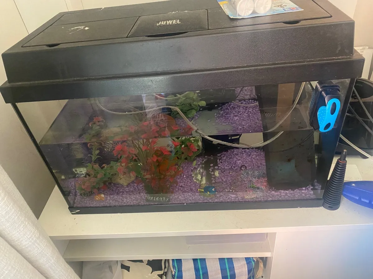 Fish Aquarium - Image 1