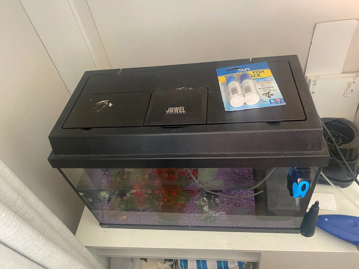Fish Aquarium - Image 2