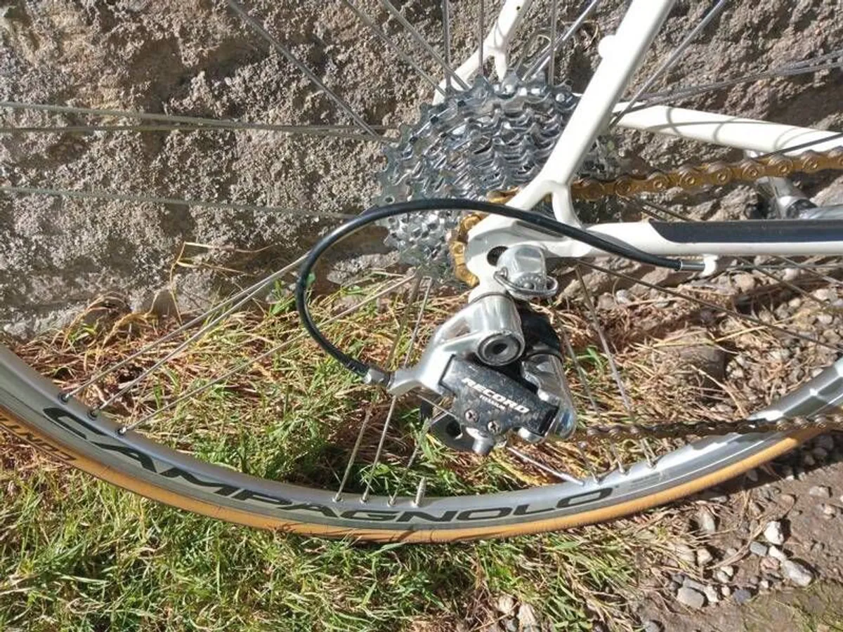 Pinarello Treviso 56cm Campagnolo Record 10 sp - Image 3