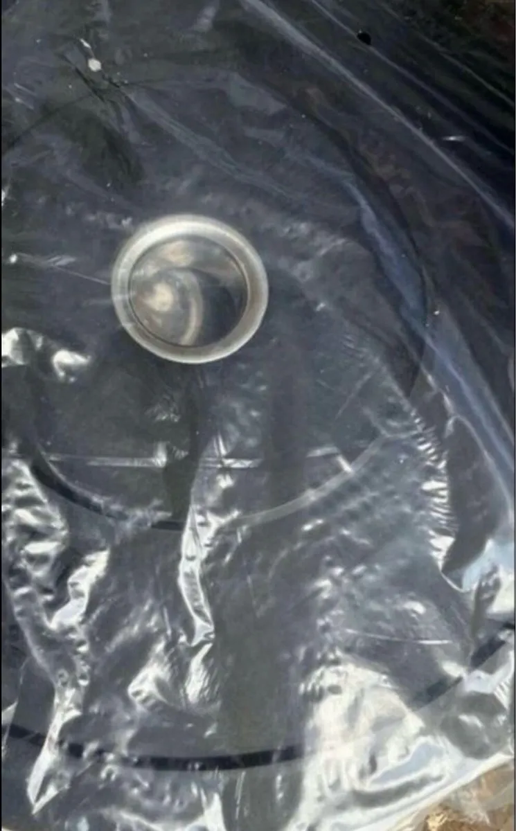 New unopened: Olympic rubber bumper weight plates - Image 2