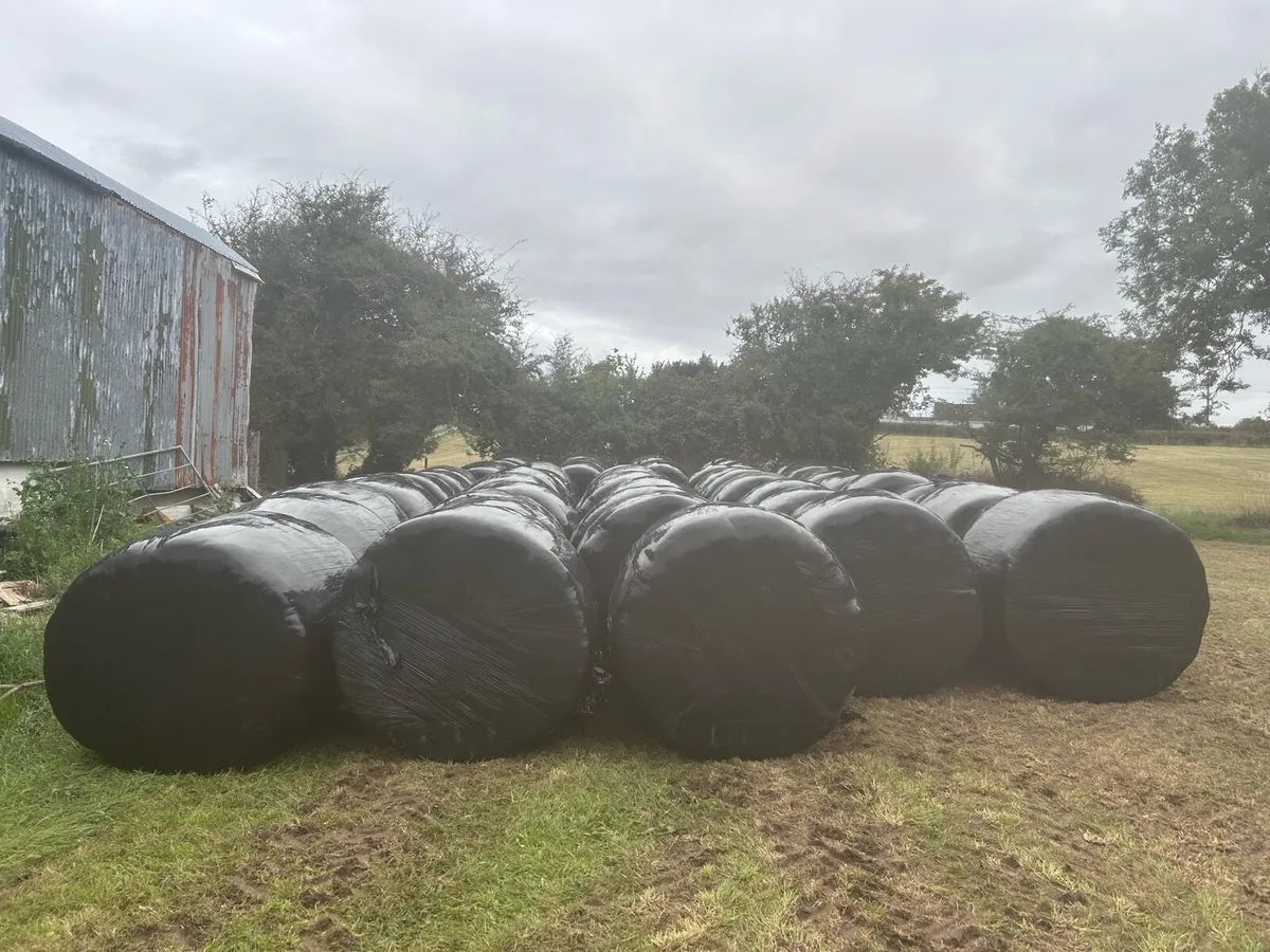 53 Bales of Silage Ennistymon - Image 1