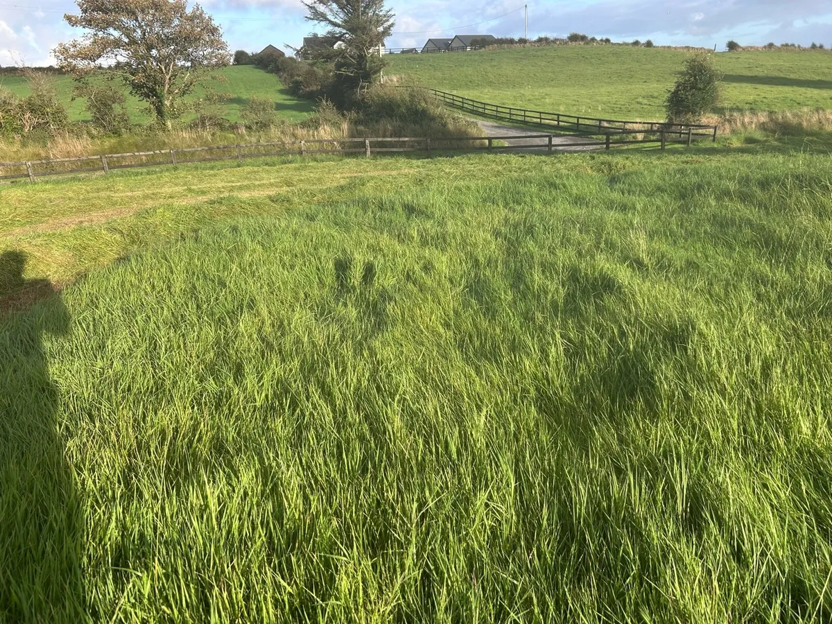 53 Bales of Silage Ennistymon - Image 4