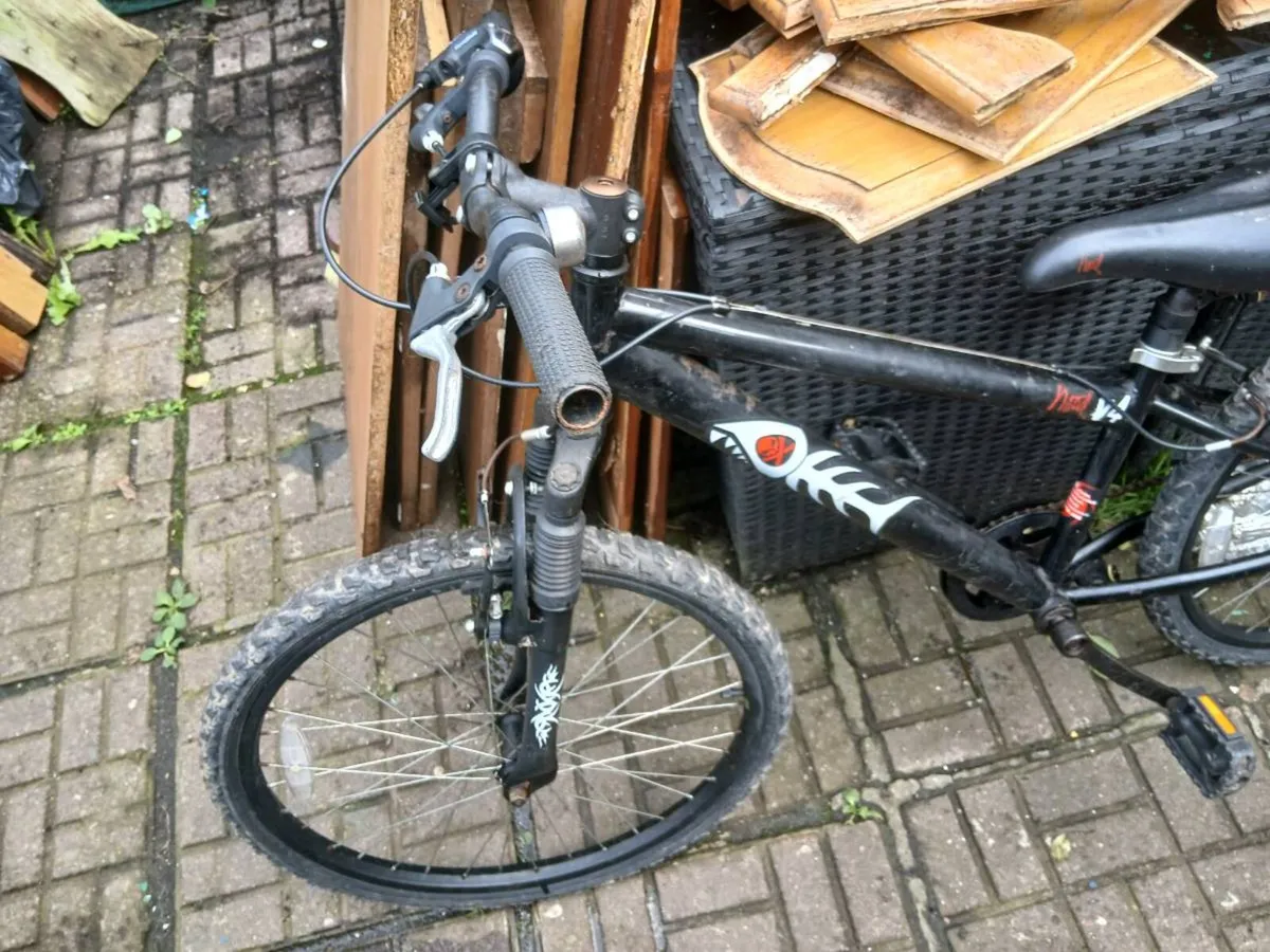 Bike - Image 2