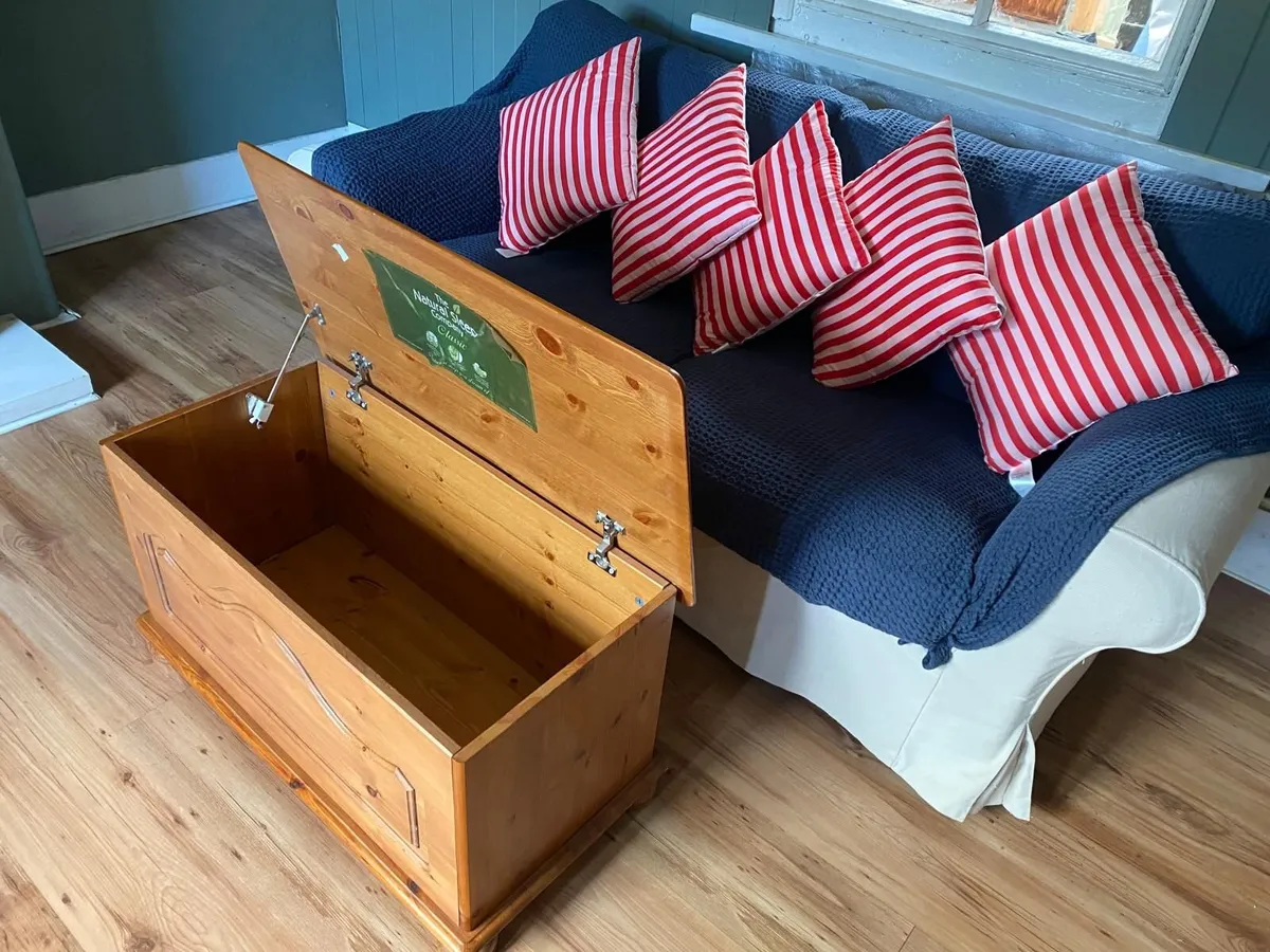 Lounge Chair and Treasure Chest - Image 1