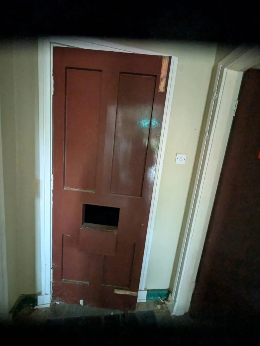 Doors - Image 1