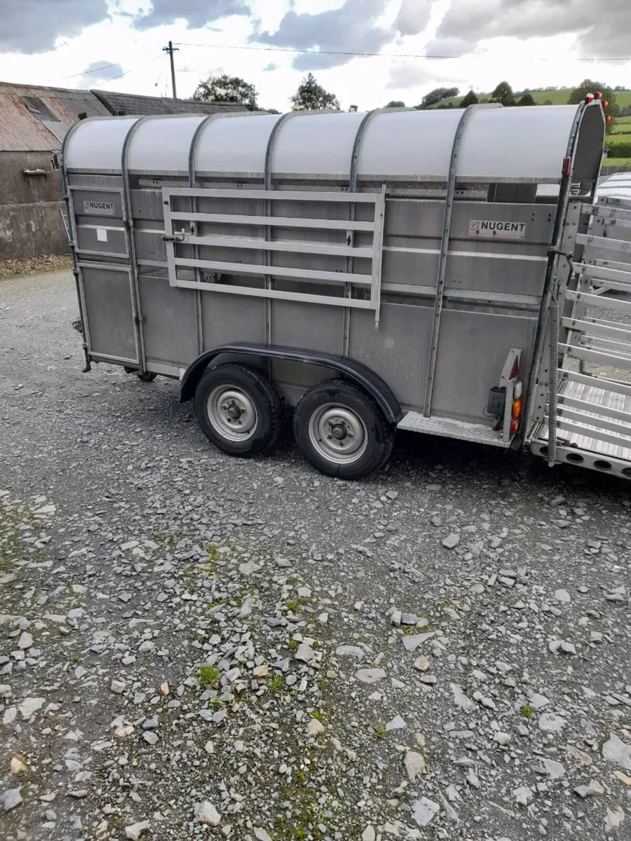 12x6 2014 nugent with sheep decks - Image 1