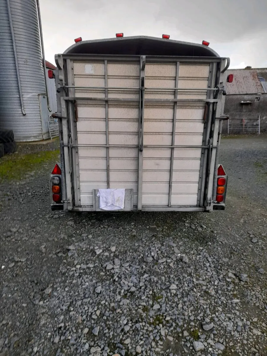 12x6 2014 nugent with sheep decks - Image 2