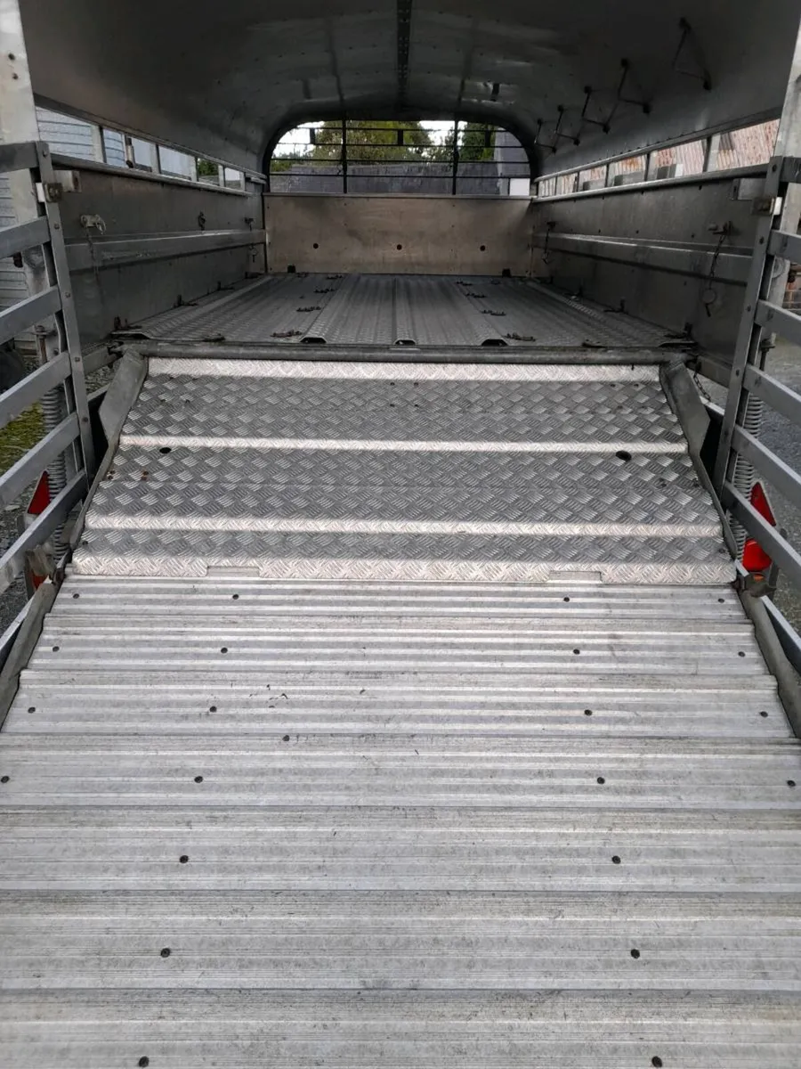 12x6 2014 nugent with sheep decks - Image 3
