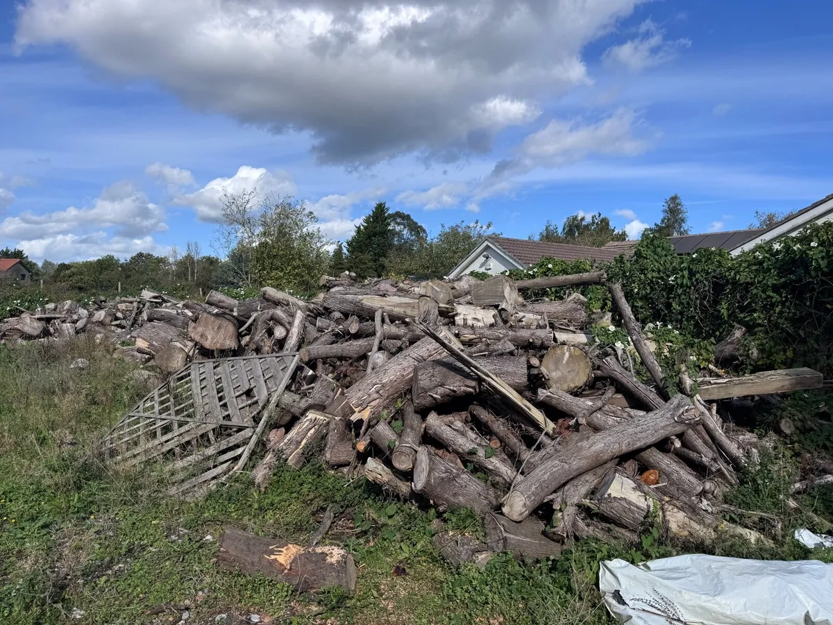 Dry Logs for sale. - Image 1