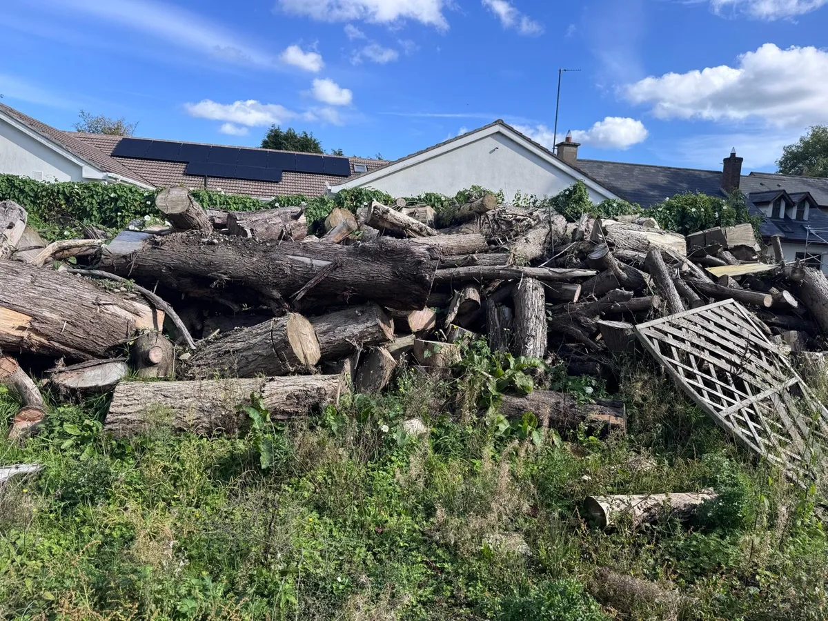Dry Logs for sale. - Image 2
