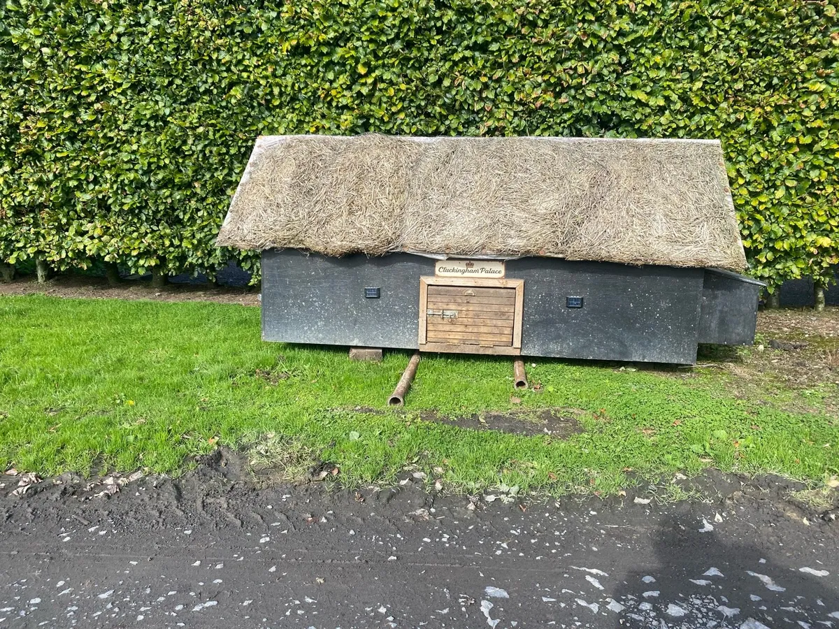 Hen house - Image 1