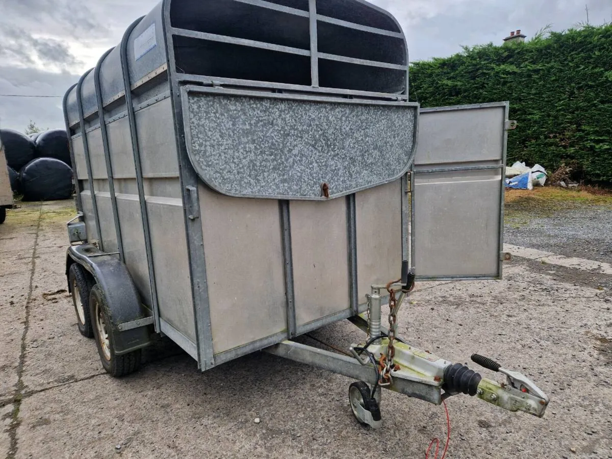 Cattle Trailer - Image 1