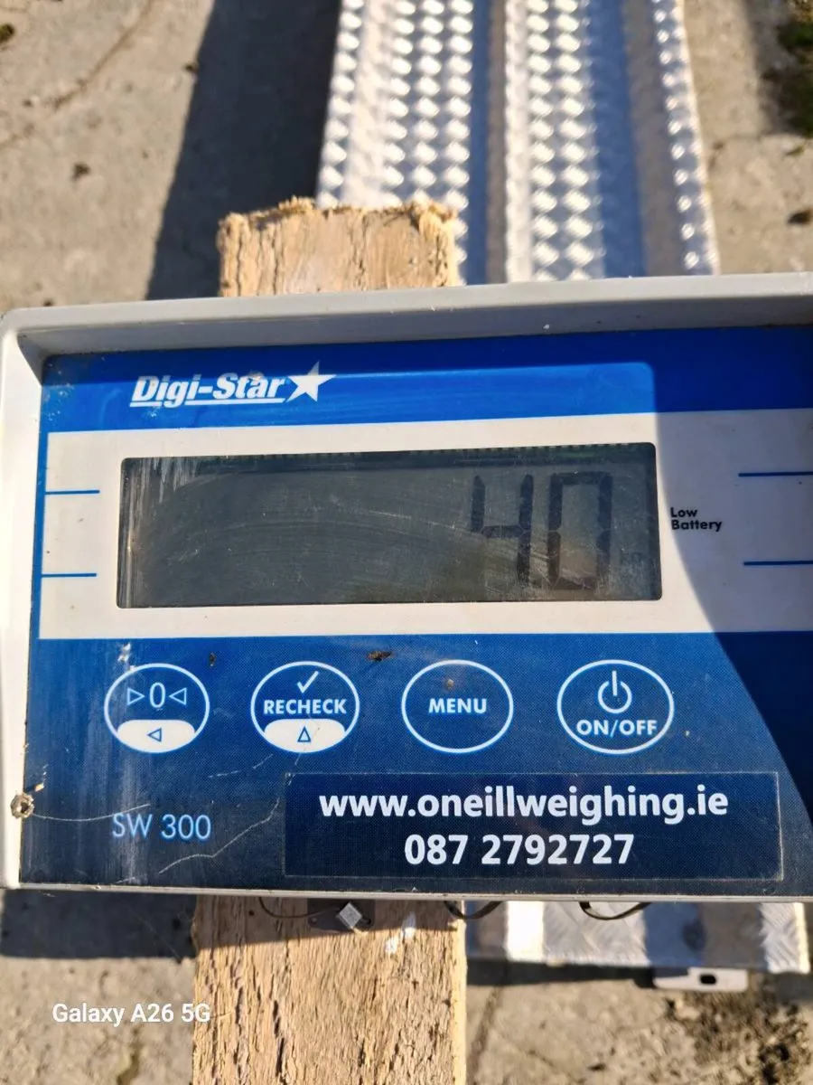 Weighing Scales - Image 2