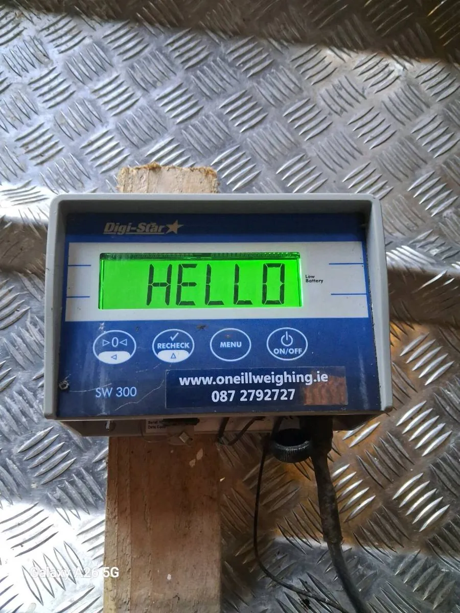 Weighing Scales - Image 3