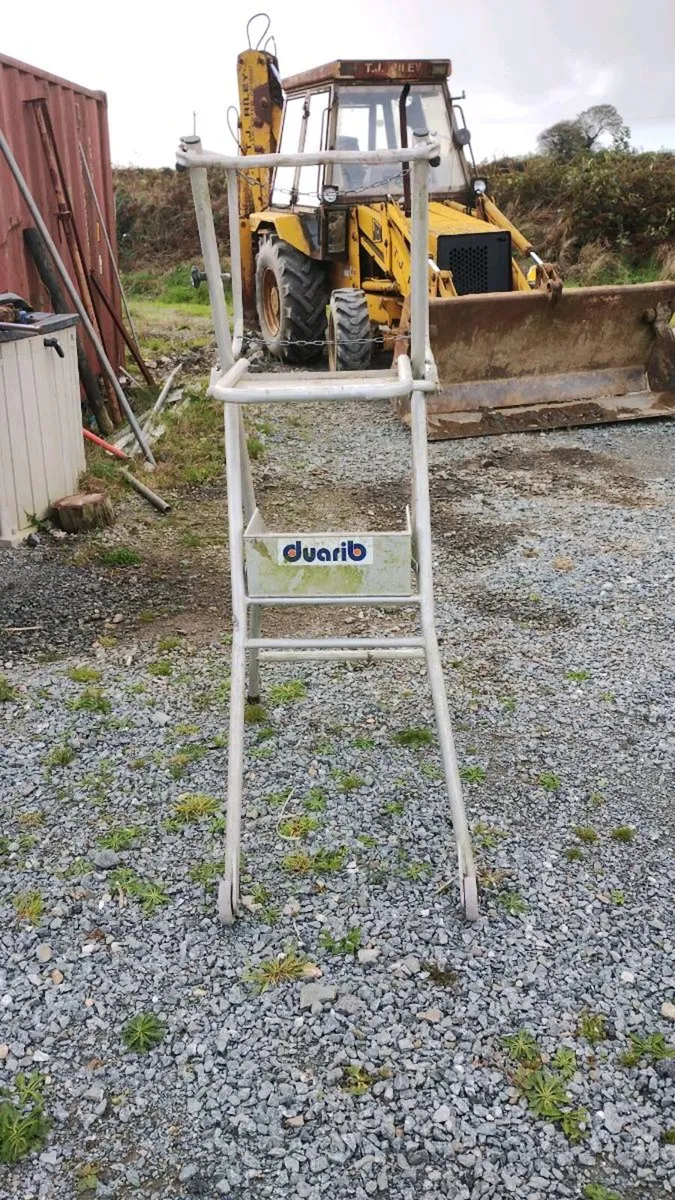 platform ladder - Image 1