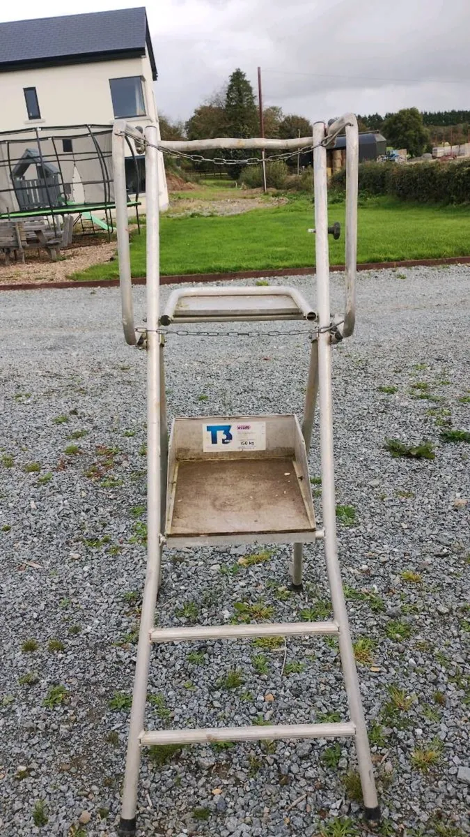 platform ladder - Image 3