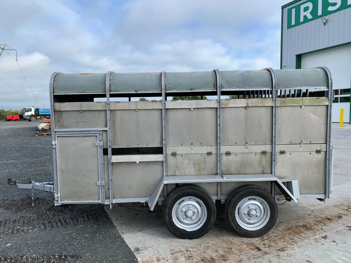 IFOR WILLIAMS 10X6 CATTLE TRAILER FOR AUCTION - Image 2