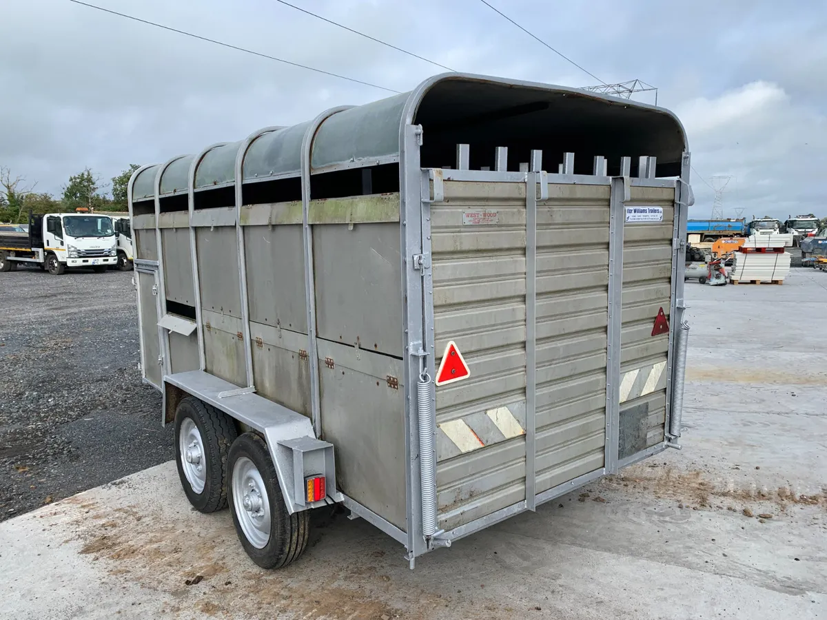 IFOR WILLIAMS 10X6 CATTLE TRAILER FOR AUCTION - Image 3