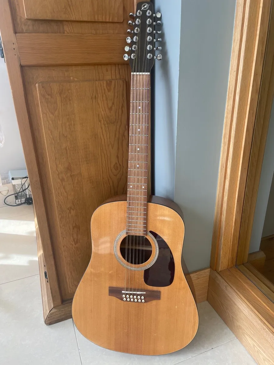 Seagull 12-String Acoustic Guitar - Image 1