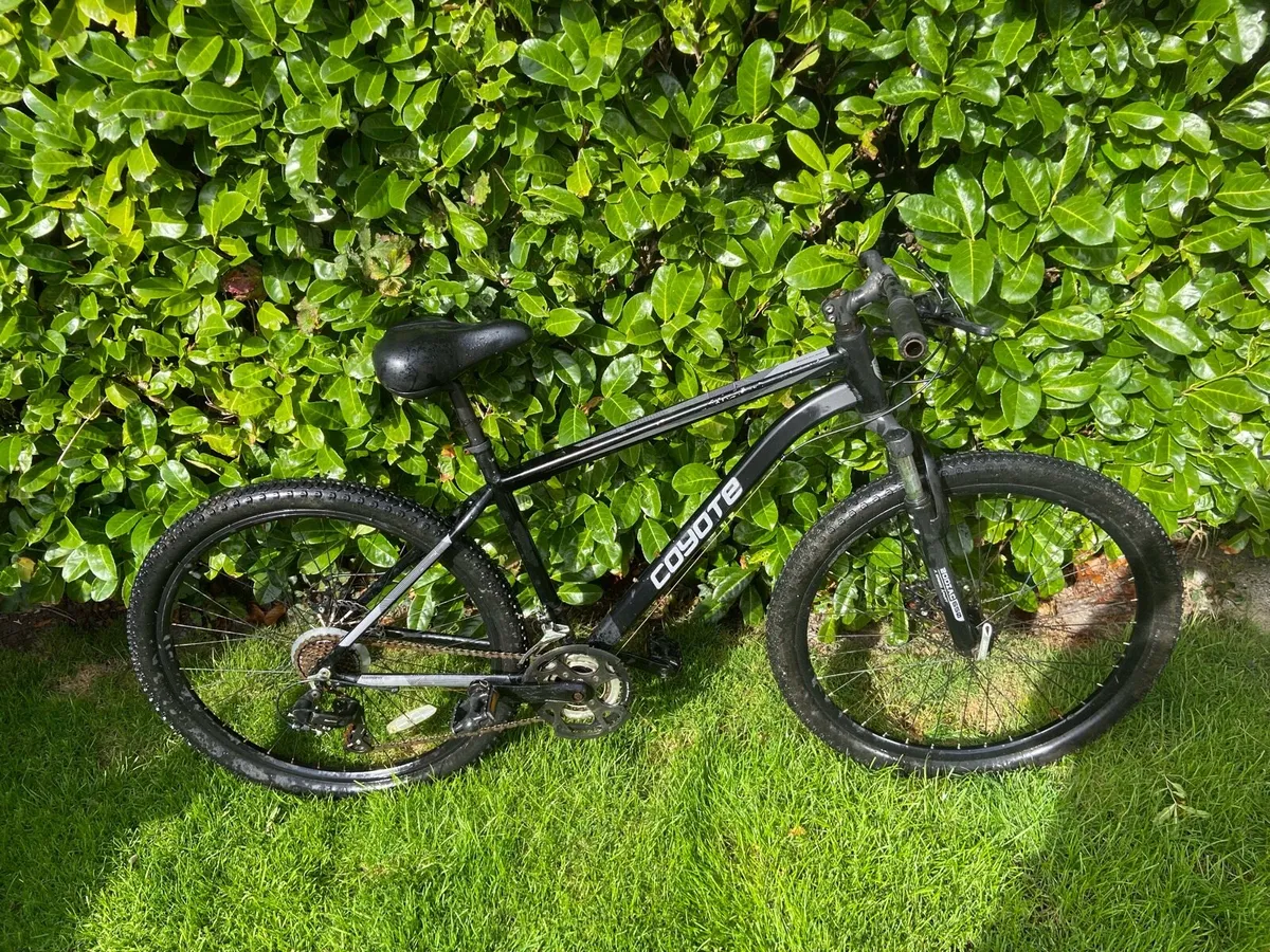 Bikes - Image 1