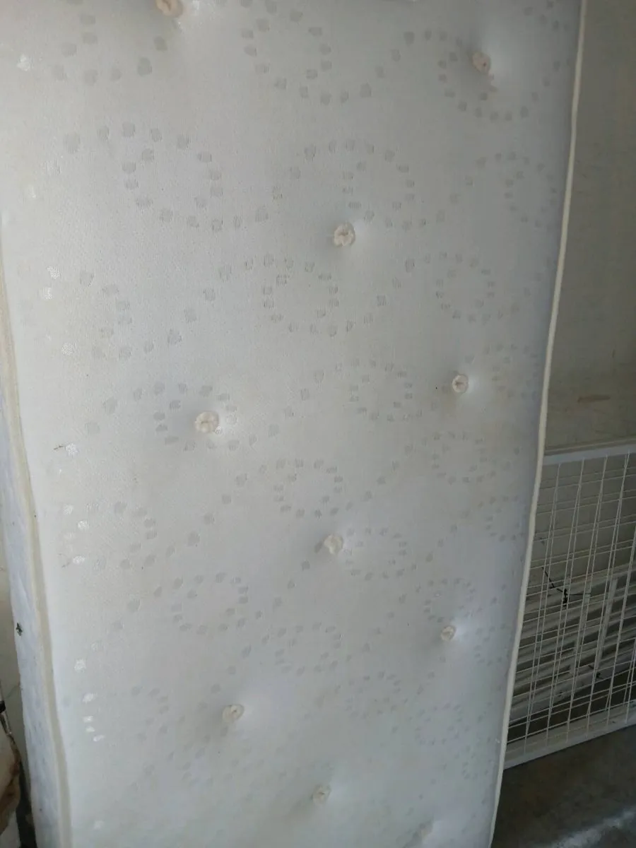 bunk bed - Image 4